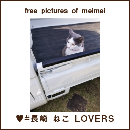free_pictures_of_meimei ♥#長崎 ねこ LOVERS